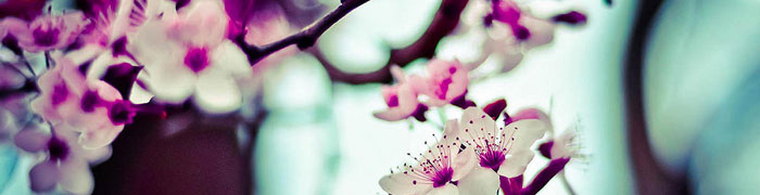 pics01