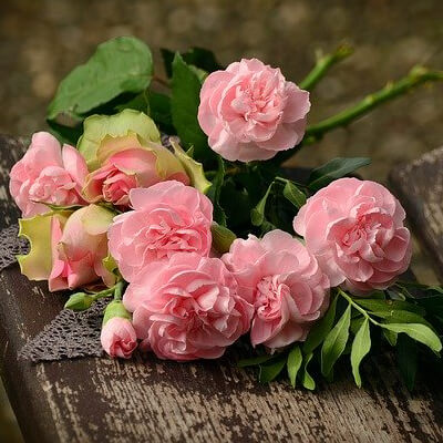 flower3 flower3
