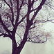 pics02-1