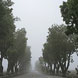 pics05-1