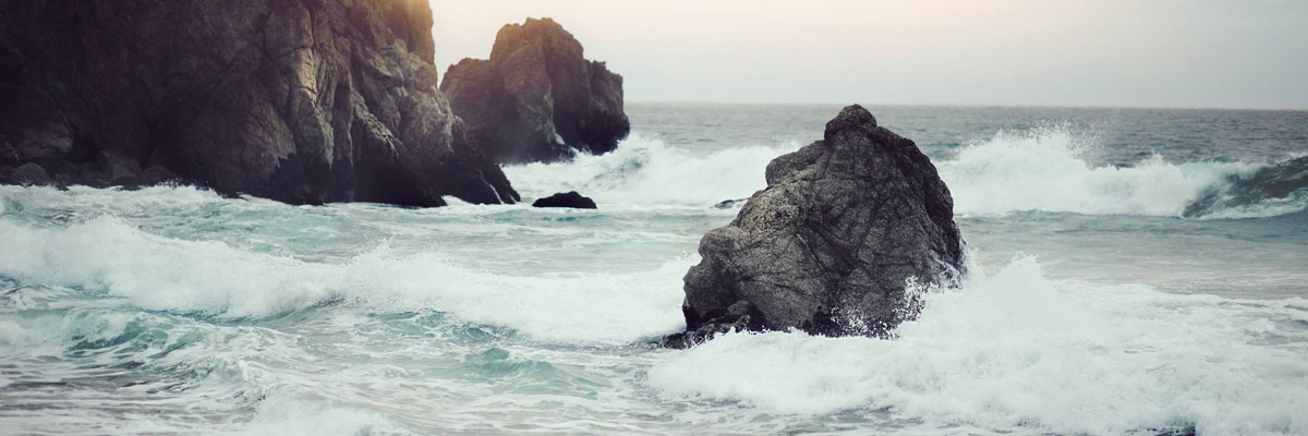 banner banner