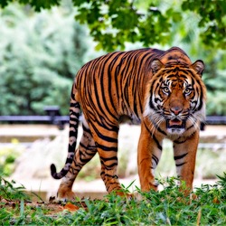 animal02 animal02