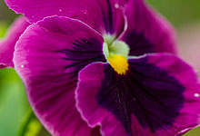 post1 post1