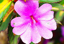 post2 post2