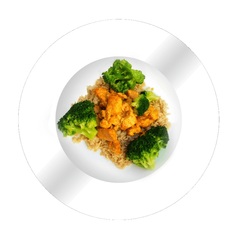 dish01 dish01