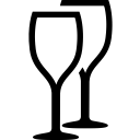 icon1 icon1