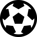 icon2 icon2