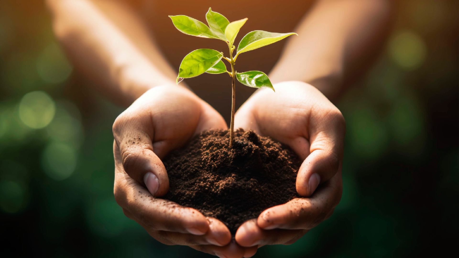 sustainable-travel-concept