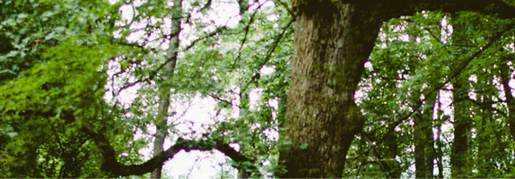 pic01 pic01
