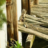 pics05