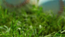 pic01 pic01