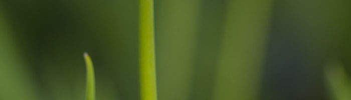 pic03 pic03