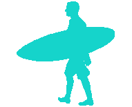 surf1 surf1