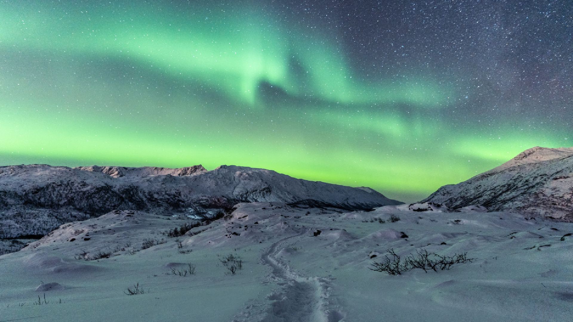 northern-lights