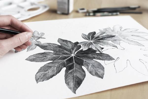 drawing drawing