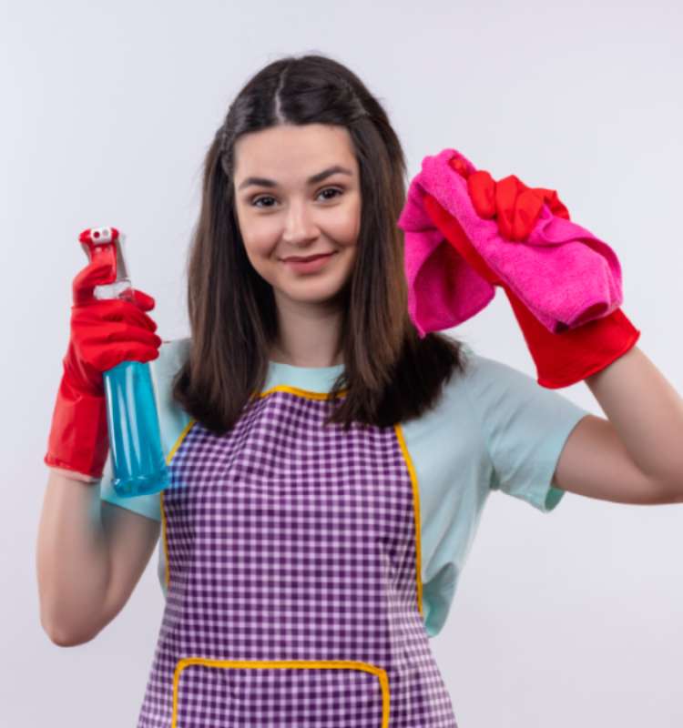 professional-cleaning professional-cleaning