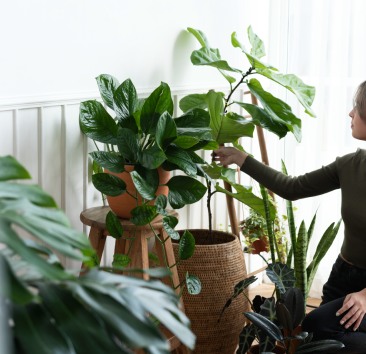 woman-tending-caring woman-tending-caring